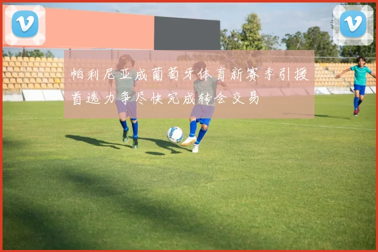 帕利尼亚成葡萄牙体育新赛季引援首选力争尽快完成转会交易