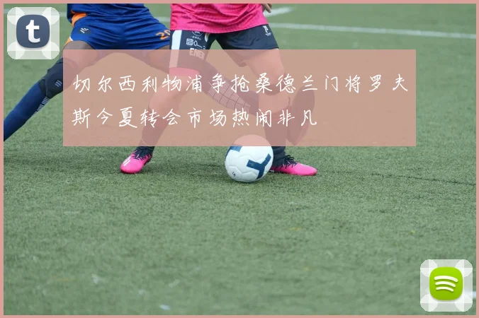 切尔西利物浦争抢桑德兰门将罗夫斯今夏转会市场热闹非凡